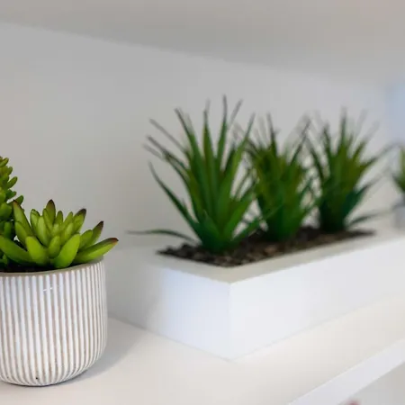 Two Bedroom Apartmán *